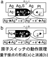 qXCb`̓쌴