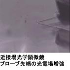 ߐڏwv[u[̌dꑝ